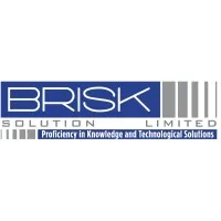 Brisk Solution Company Ltd
