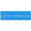 CFO consulting CFO consulting