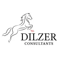 Dilzer Consultants ( SEBI Registered Investment Advisor )
