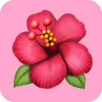 zobo - stablecoin wallet for the free