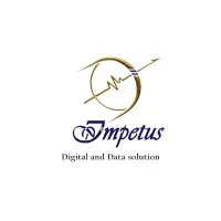 I-impetus Digital and Data Solution