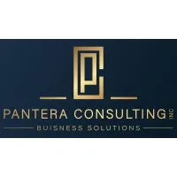 Pantera Consulting Inc