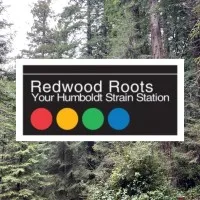 Redwood Roots Distribution
