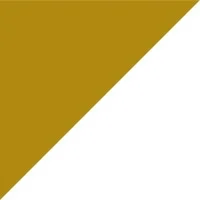 Argint International (now Precision for Medicine)