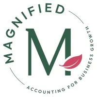 Magnified Accounting