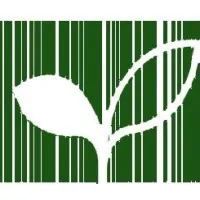 BGreen Associates