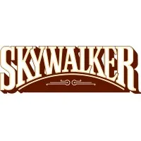 Skywalker Holdings, LLC