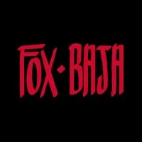 Organização Estudantil Fox Baja Insper