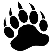 Bear Insulation, Inc Bear Insulation, Inc