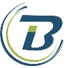 Biz-Insights IT Solutions LLP Biz-Insights IT Solutions LLP