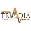 Triodia Scanning Services Triodia Scanning Services