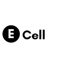 The Entrepreneurship Cell, Aryabhatta College (Delhi University)