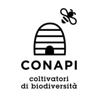 Conapi