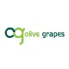 Olive Grapes Olive Grapes