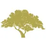 Golden Oaks Golf Club Golden Oaks Golf Club