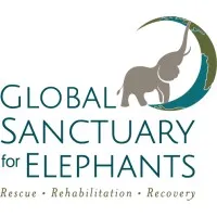 Global Sanctuary for Elephants Global Sanctuary for Elephants