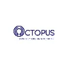 Octopus Outsourcing Octopus Outsourcing
