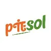 Piesol Private Limited Piesol Private Limited
