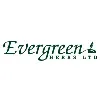 Evergreen Herbs Evergreen Herbs