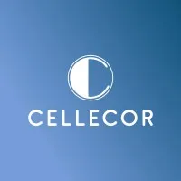 Cellecor Gadgets Ltd.