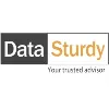 DATASTURDY CONSULTING DATASTURDY CONSULTING