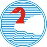New Swan Group