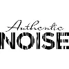 Authentic Noise Authentic Noise