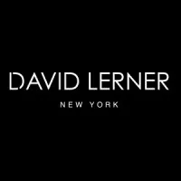 David Lerner NY