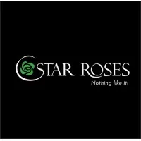 Star Roses
