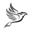 Black Kite Technologies Pvt Ltd