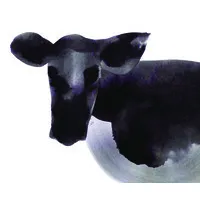 Heifer Station Wines.