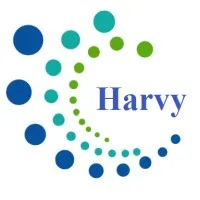 Harvy IT Services Pvt Ltd