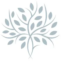 Novo Behavioral Health