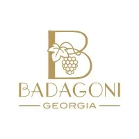 Badagoni