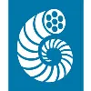 Nautilus Cables