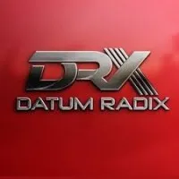 Datum Radix Private Limited