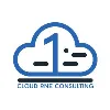 Cloud One Consulting, Inc. Cloud One Consulting, Inc.