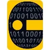 Gaming Intelligence Inc Gaming Intelligence Inc