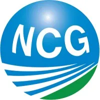 Newman Consulting Group, LLC Newman Consulting Group, LLC