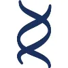 OXB OXB