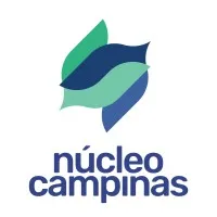 Núcleo das Empresas Juniores da Região Campinas