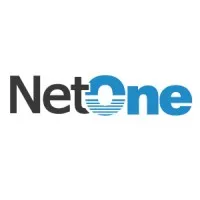 NetOne Soluciones Web para Pymes NetOne Soluciones Web para Pymes