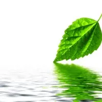 James Environmental Management, Inc. James Environmental Management, Inc.