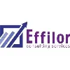 Effilor Consulting Effilor Consulting