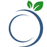 Blueberry Technology Inc