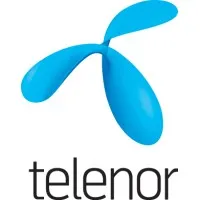 Telenor Health email format