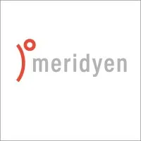 Meridyen Bilgi Teknolojileri