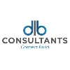 dlb Consultants LLC dlb Consultants LLC