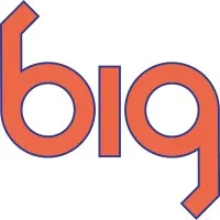 Building Infrastructure Group, Inc.