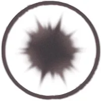 SUNFLWR Agency